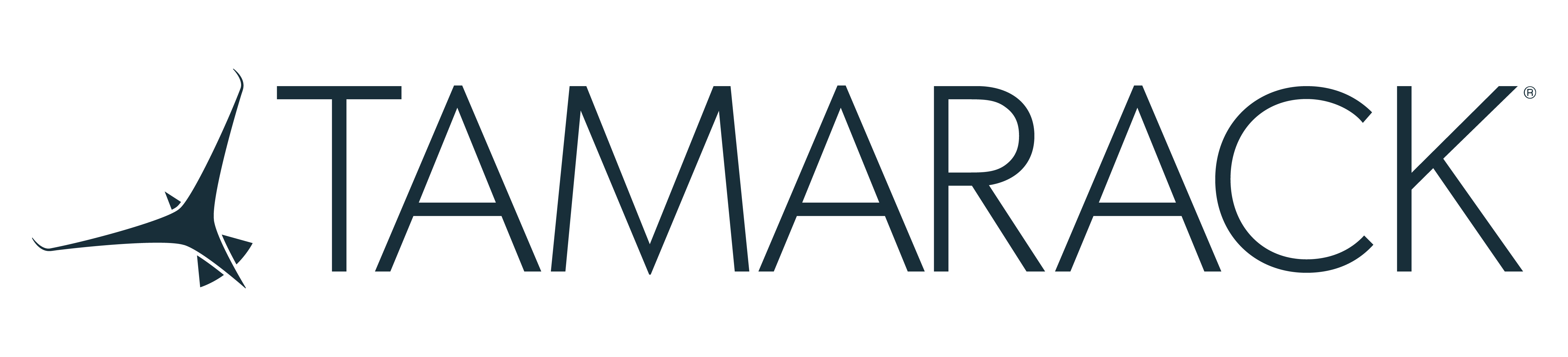 Tamarack Aerospace logo